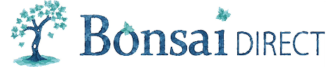 Bonsai Trees for Sale UK