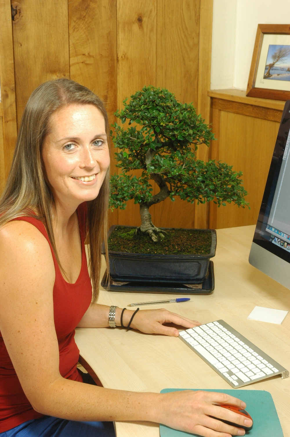 Bonsai Tree Care Help Question & Answer Bonsai Trees for Sale UK