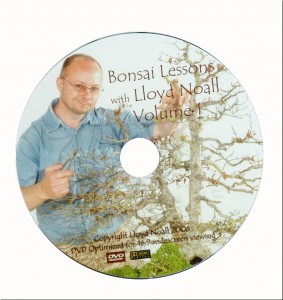 Bonsai care dvd chapters