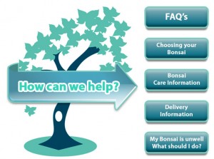 Bonsai Care and advice page