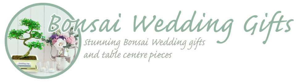 Wedding Bonsai gifts header