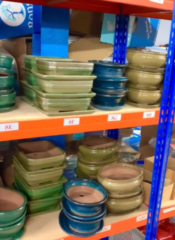 Which bonsai tree pot would you choose?