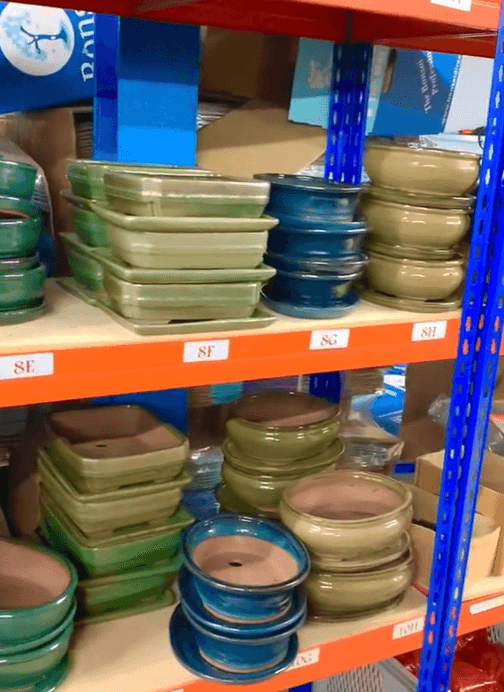 Which bonsai tree pot would you choose?