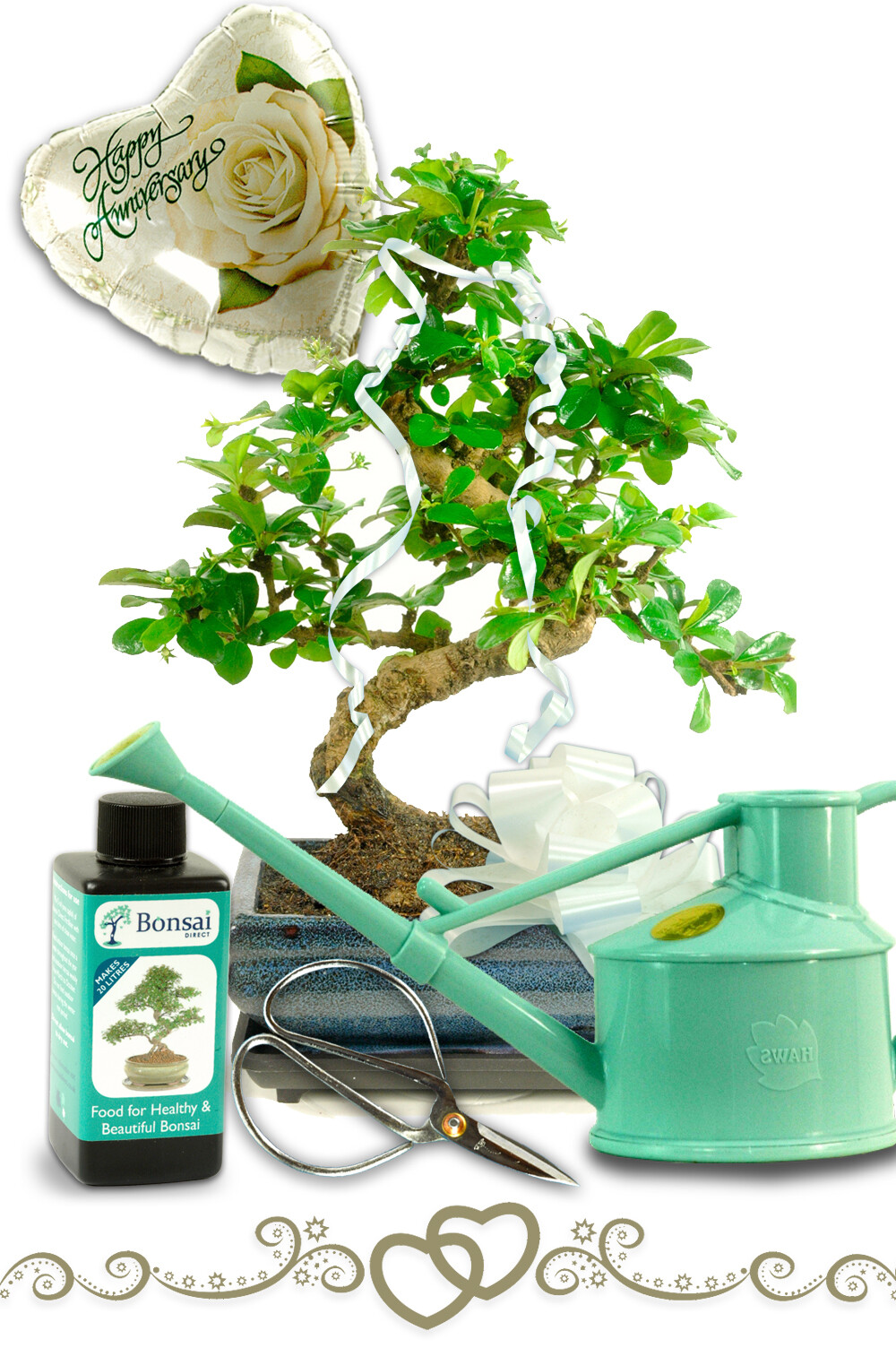 Flowering Anniversary Bonsai Tree Gift