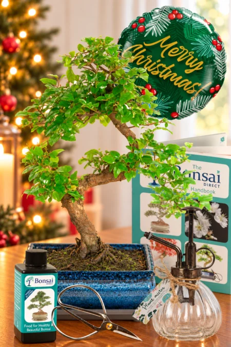 Add a Little Christmas Tree Magic to Another Room
