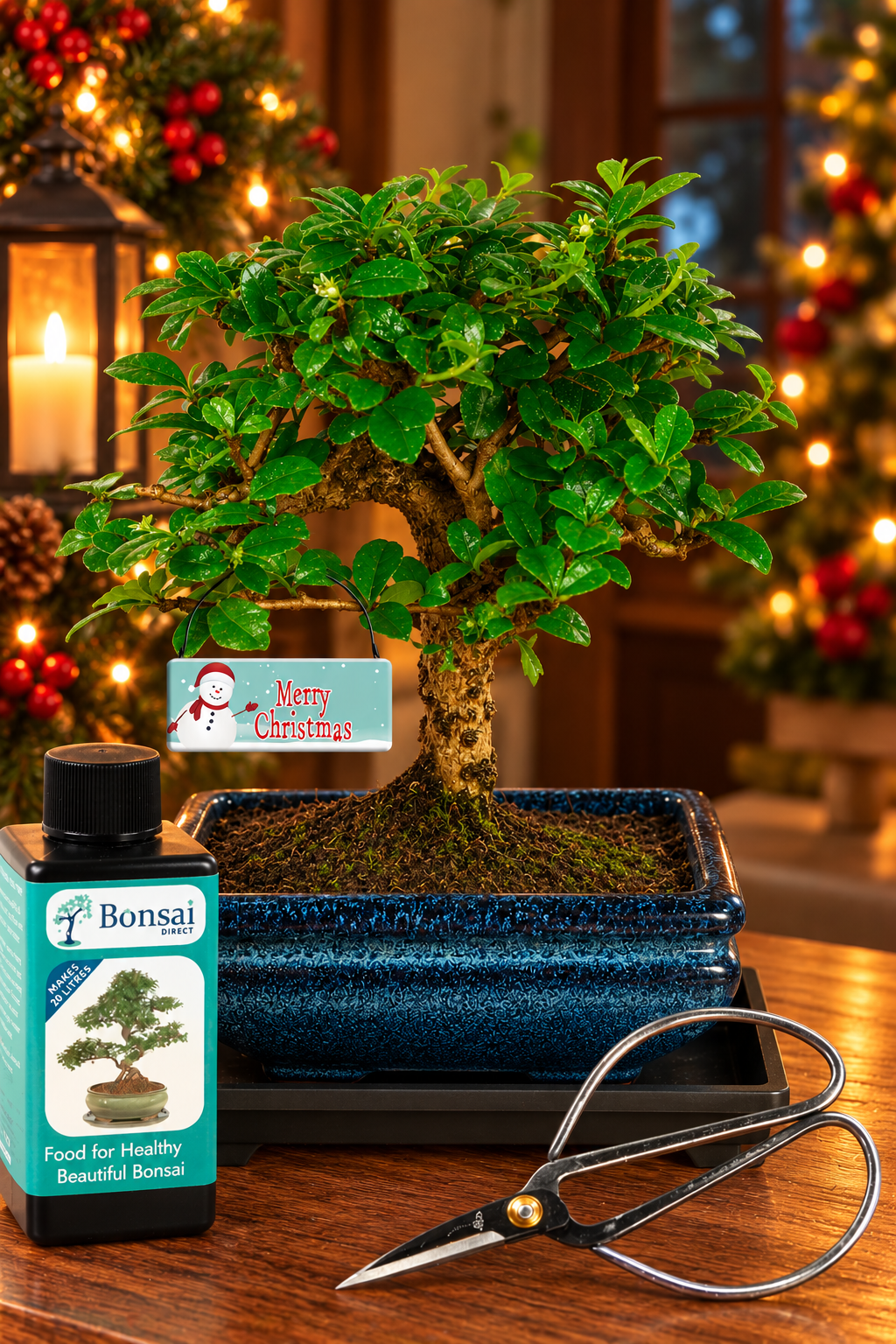 The Ideal Unusual Christmas Gift - Unique & Inspired