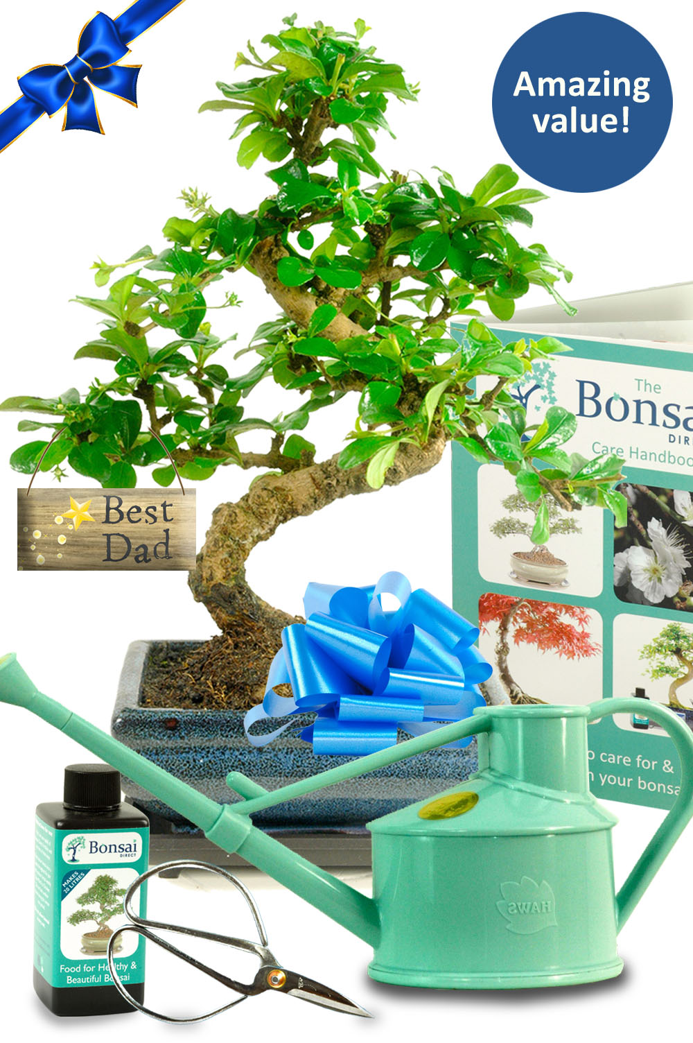 Our Ultimate Twisty Flowering Tea Tree Bonsai Starter Kit - Best Dad
