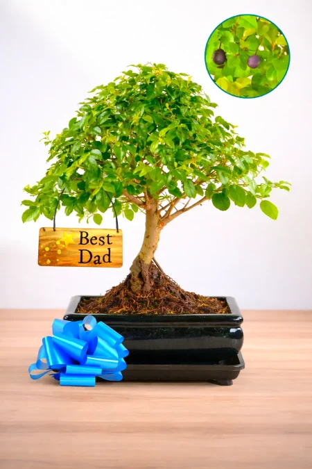 Thoughtful Gifts for Plant Dads Who Love Something a Little Different