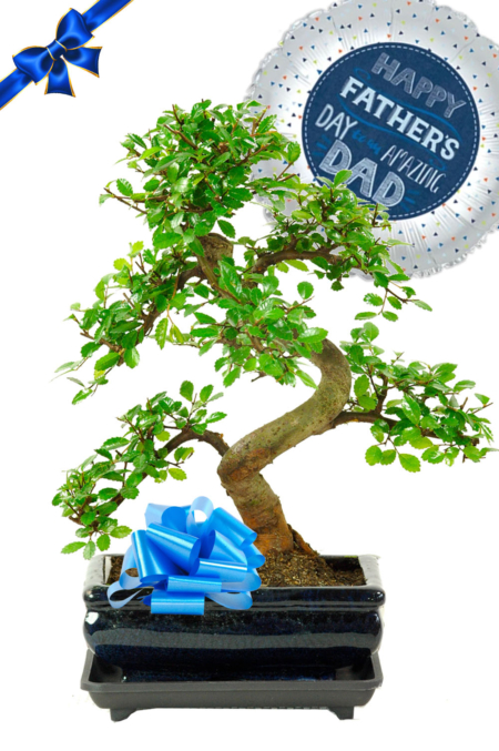 Happy Fathers' day to my Amazing Dad