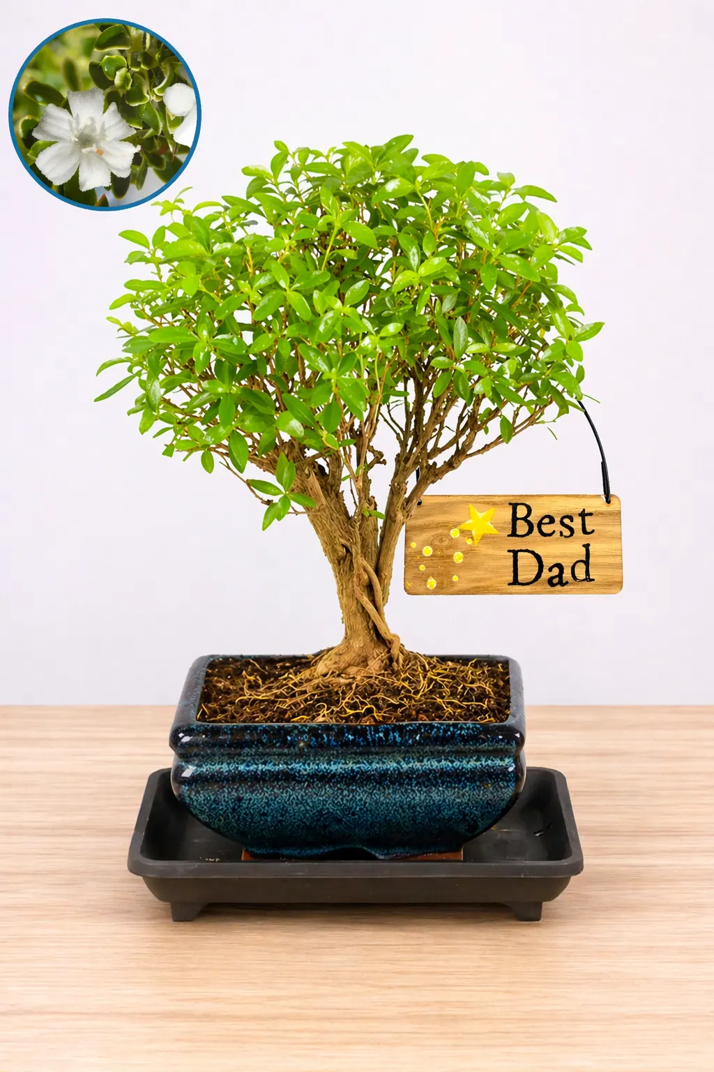 An Unusual Father’s Day Gift That Truly Stands Apart