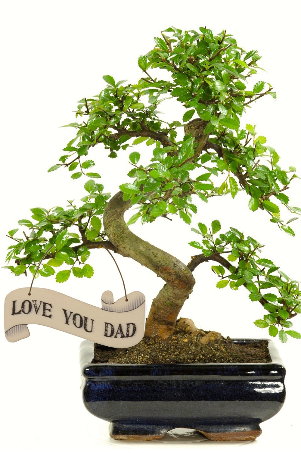 Love you dad - Fathers day gift