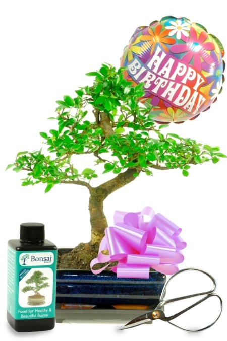 Happy Birthday Daisy Balloon Bonsai Gift - For Her