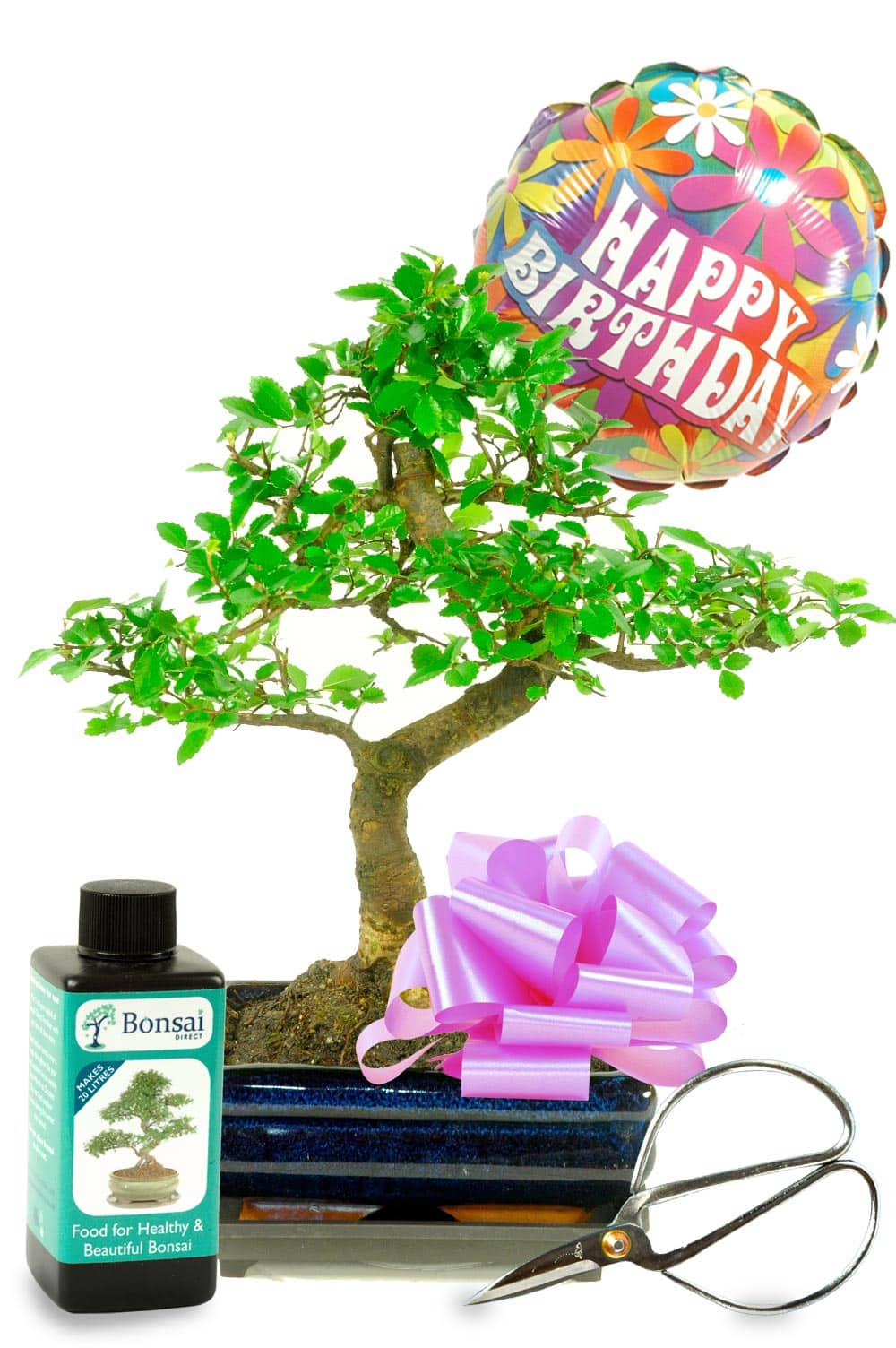 Happy Birthday Daisy Balloon Bonsai Gift - For Her