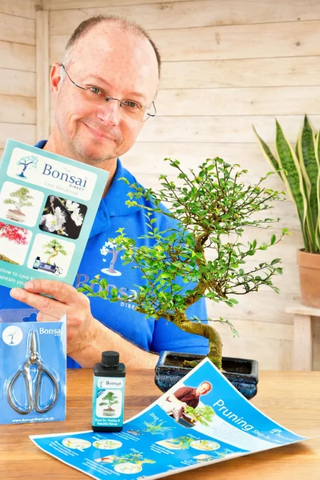 Standard Bonsai Pruning Kit – 8 Year Old Chinese Elm | Complete Beginner Bonsai Pruning Kit