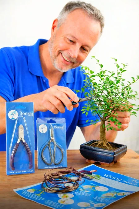 Bonsai Tree Wiring & Pruning Kit | 6-Year-Old Chinese Elm