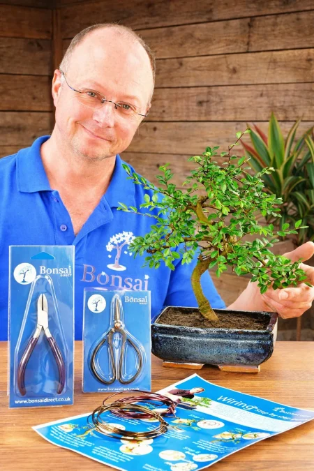 Medium Bonsai Tree Starter Kit – Pruning & Wiring Made Simple