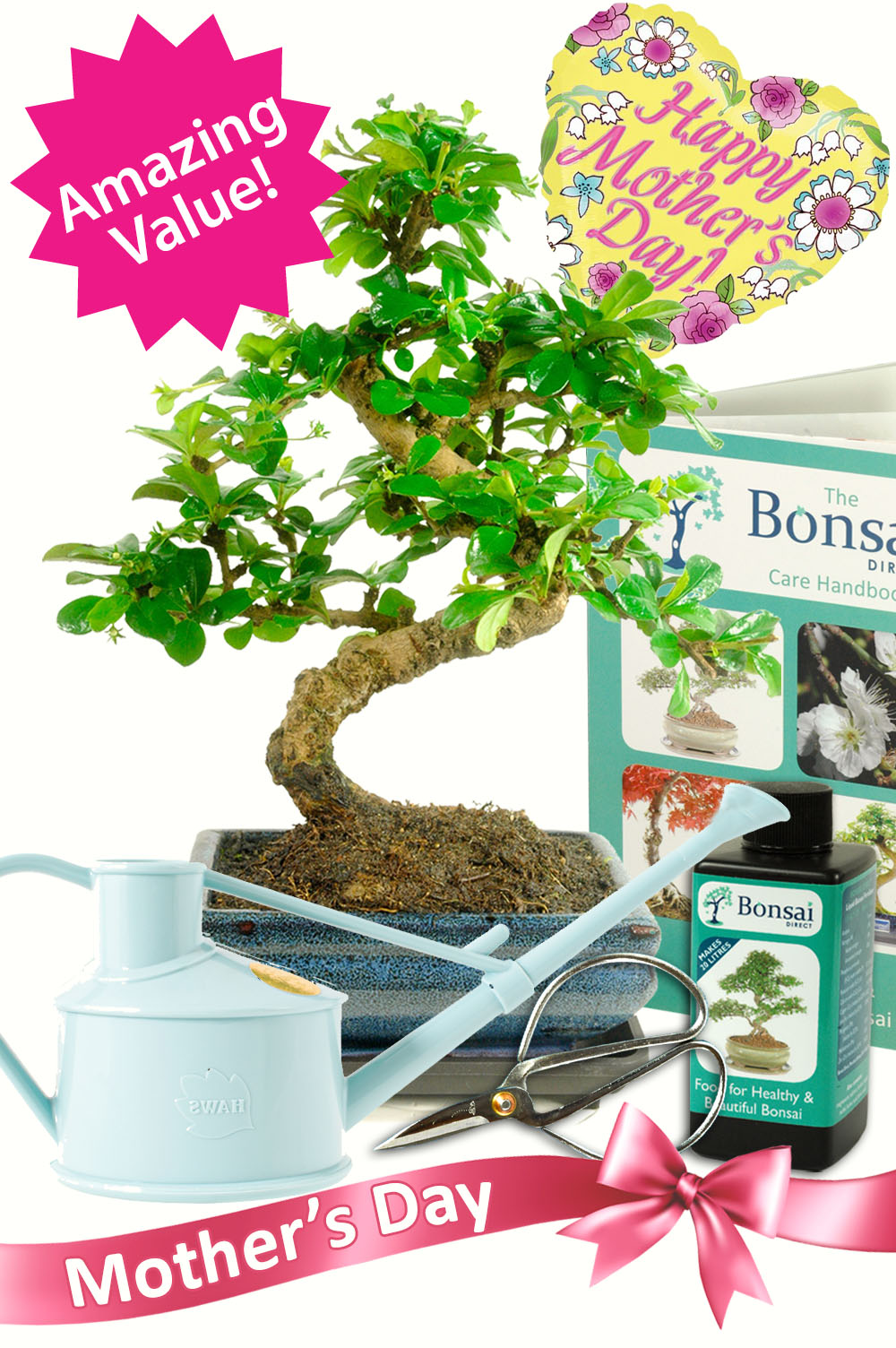 Supreme styled Mothers day bonsai starter kit