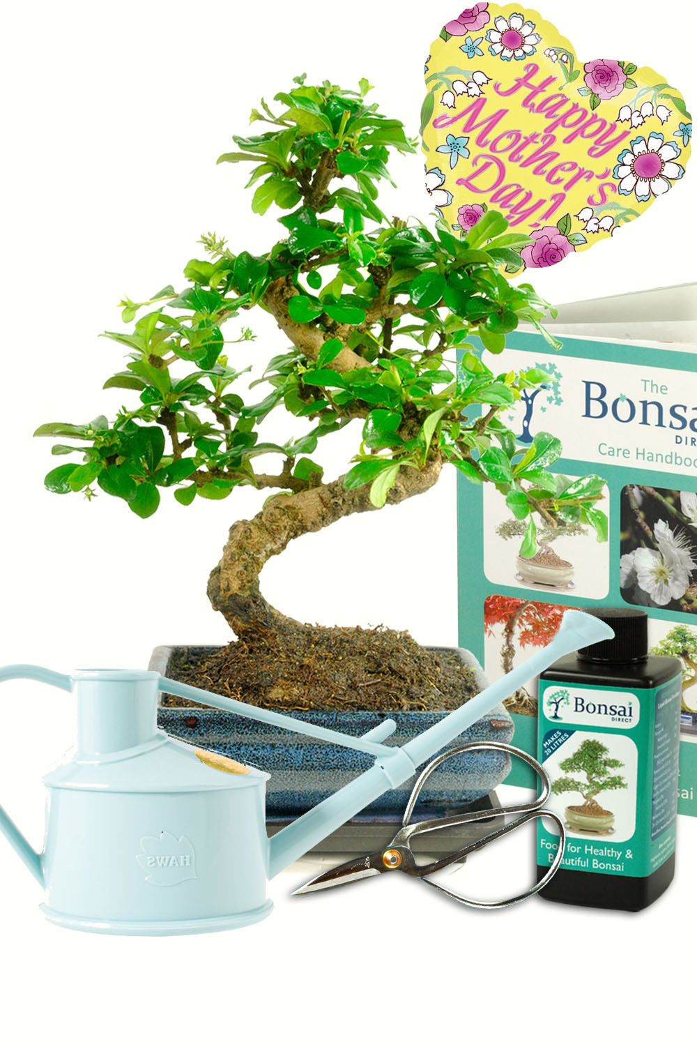 Supreme styled Mothers day bonsai starter kit