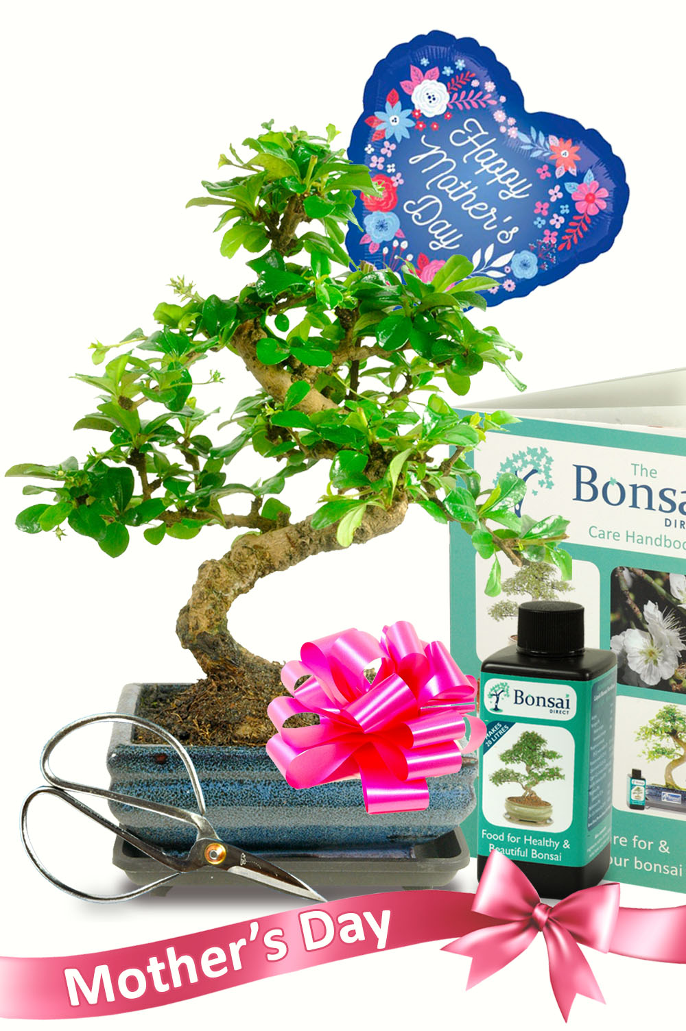 Flowering Mother's day bonsai tree kit for sale with accessories - FREE UK delivery!