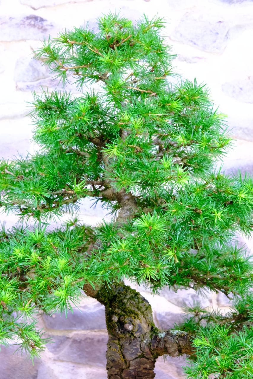 The attention to detail is superb