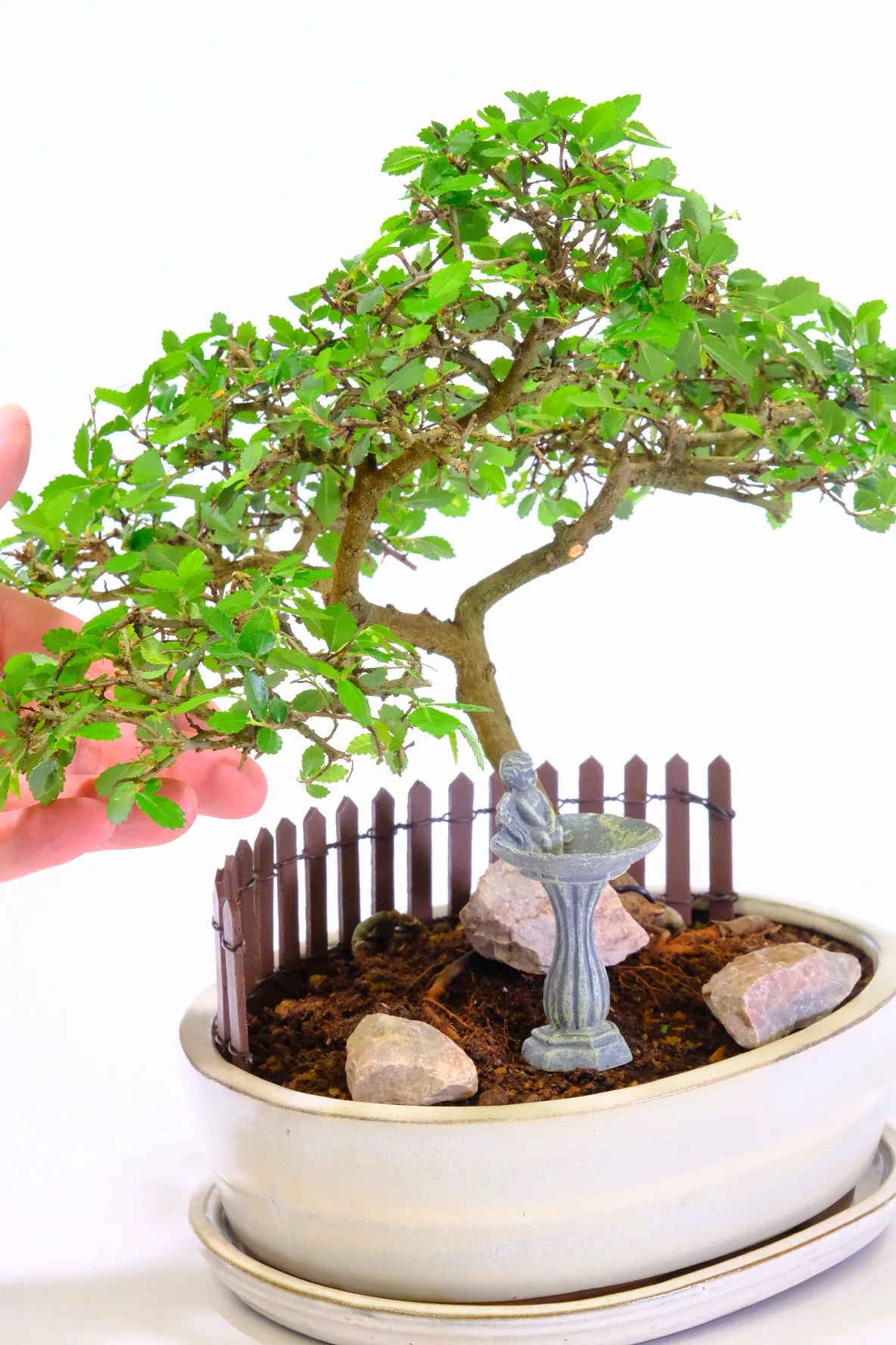 Bonsai Garden | Indoor bonsai with rocks, bird bath & picket fence