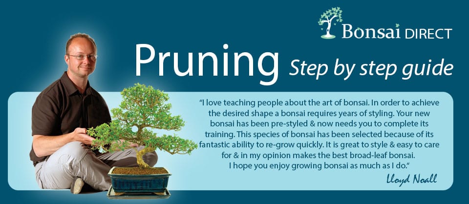 Pruning Guide Header