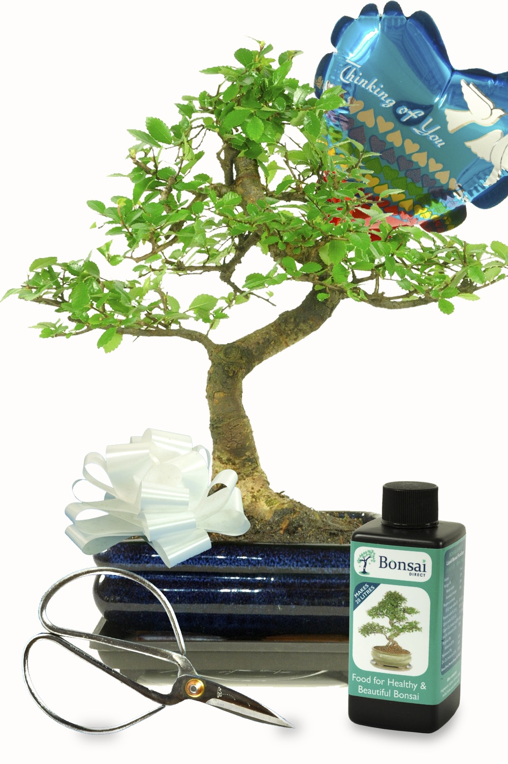 Thinking of you - sympathy tree gift