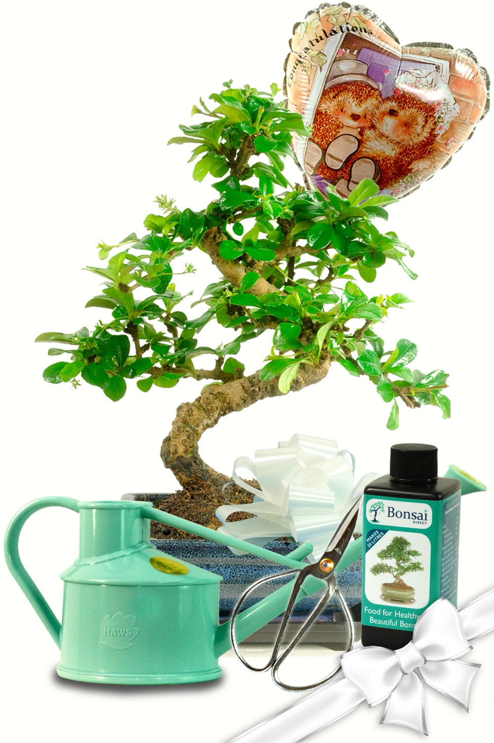 Lovely Complete Wedding Bonsai Kit
