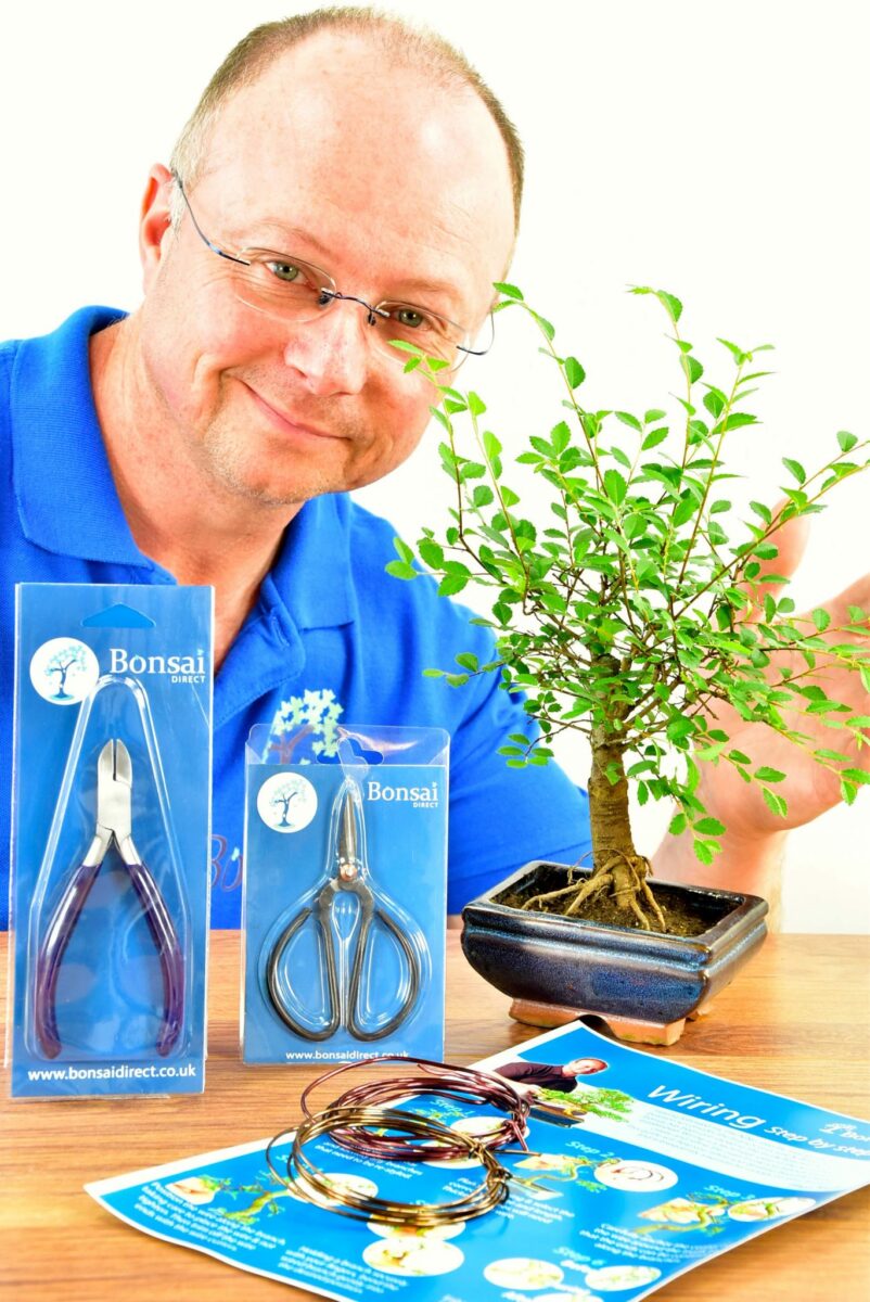 Wiring Bonsai Tree Mini Kit Pruning & Wiring for Beginners