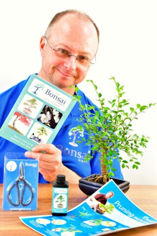Beginners Baby Bonsai Kit - Pruning