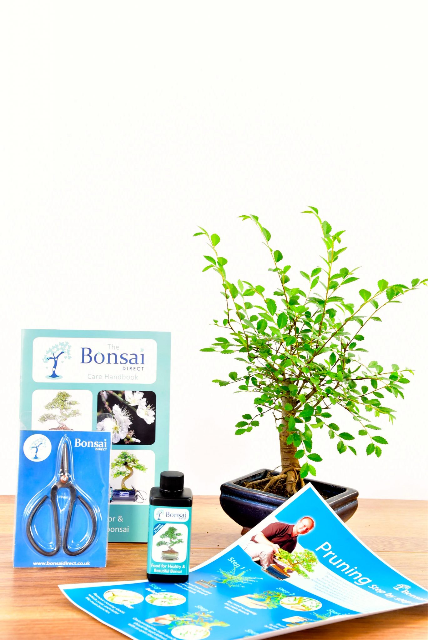 Baby Bonsai Kit Beginners Pruning & Styling Kit FREE delivery