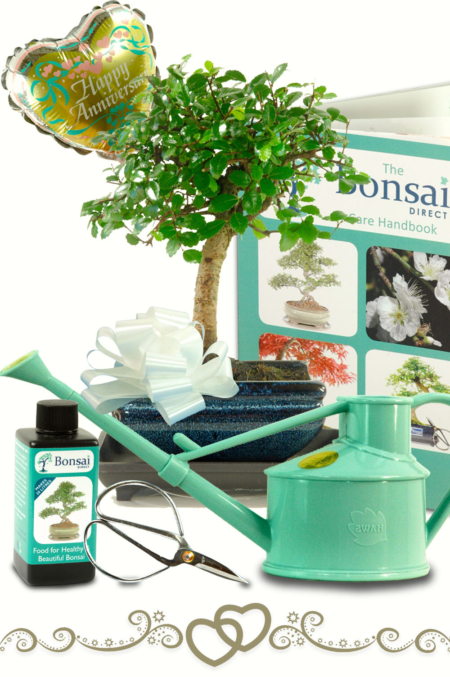 Gorgeous Anniversary Gift Set including Watering Can