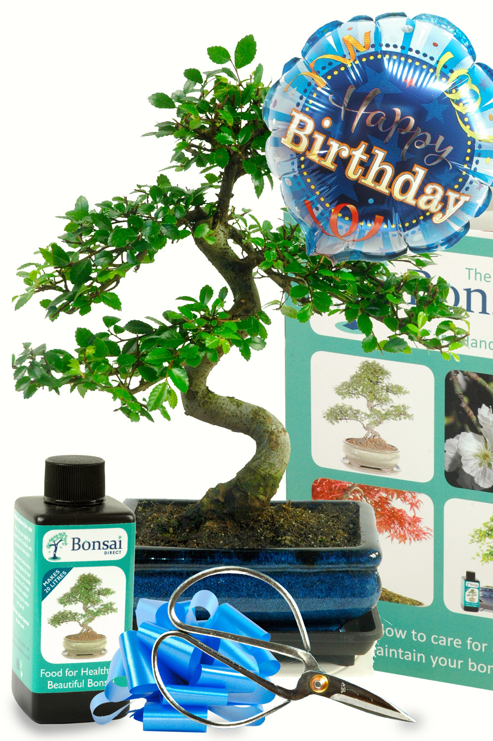 Happy Birthday ~ For Him Bonsai Chinese Elm {Gift set 3}