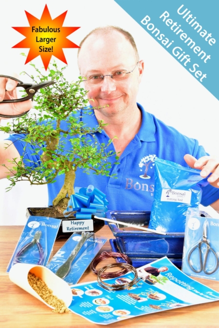 Large Comprehensive Retirement Bonsai Gift - Perfect new Hobby!