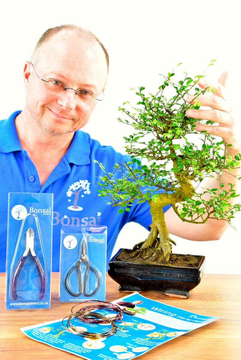 Large Twisty Beginners Bonsai Kit Pruning & Wiring
