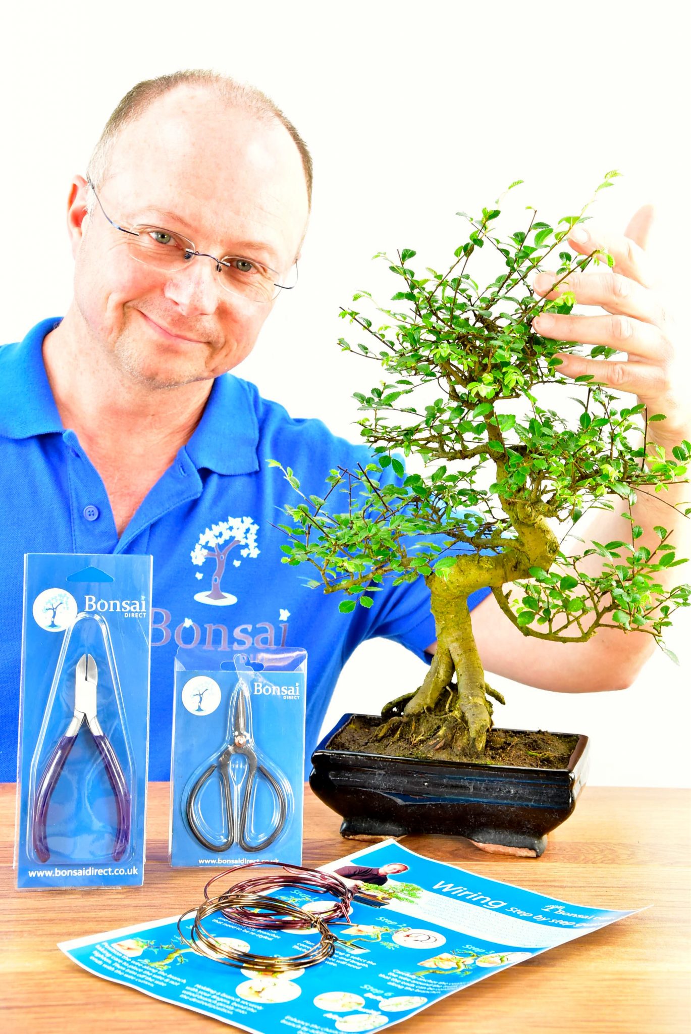 Large Twisty Bonsai Kit - Pruning & Wiring