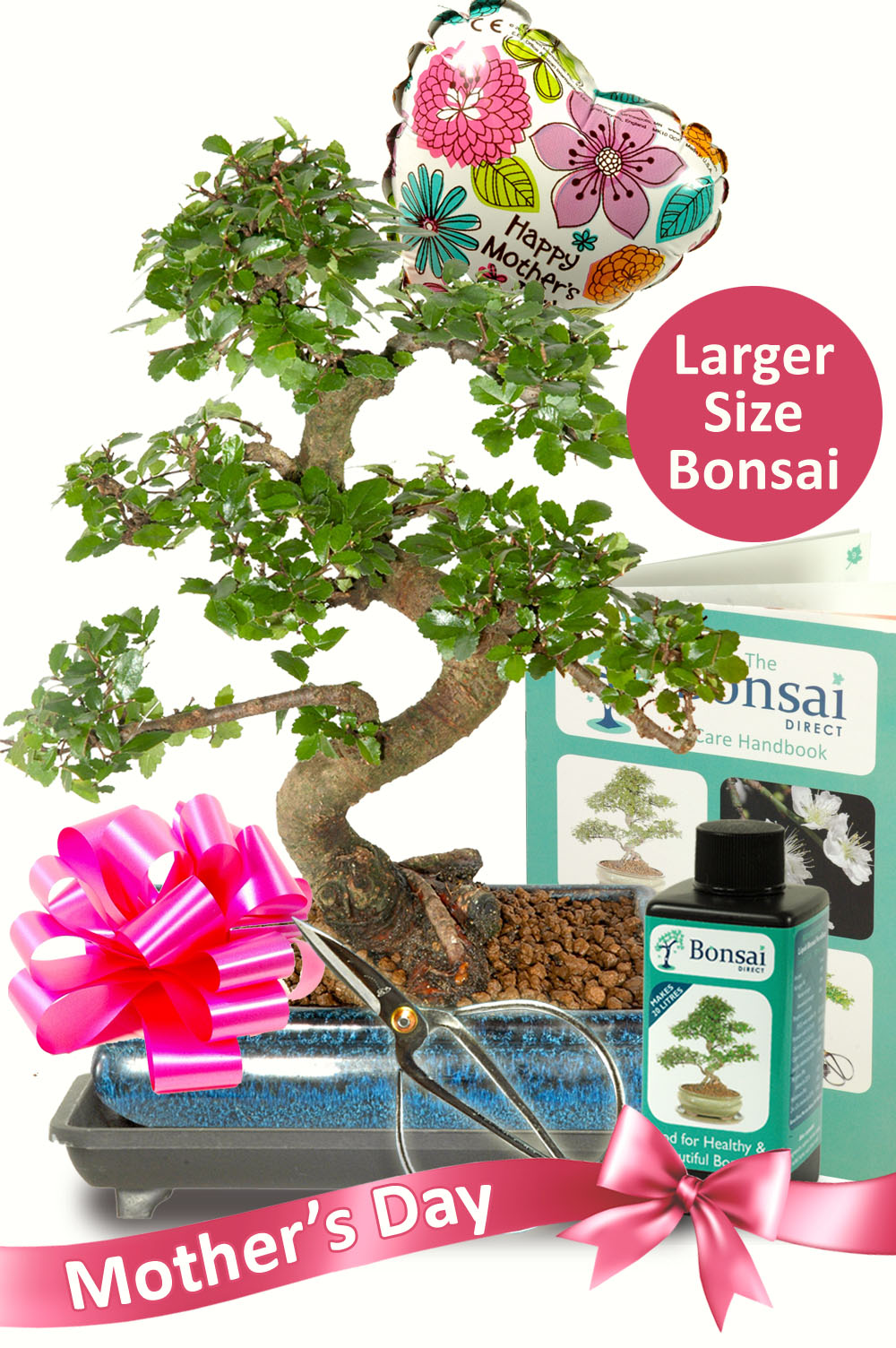 Larger Comprehensive Mother's Day Bonsai Kit