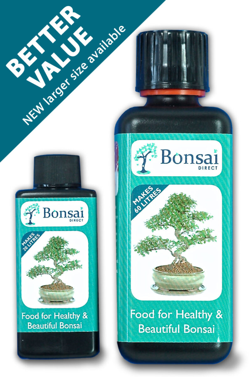 How do I feed my bonsai tree?