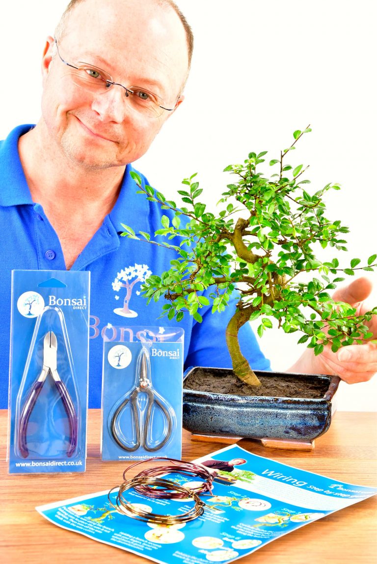 Bonsai Tree Wire Kit Beginners Bonsai Kit Pruning & Wiring