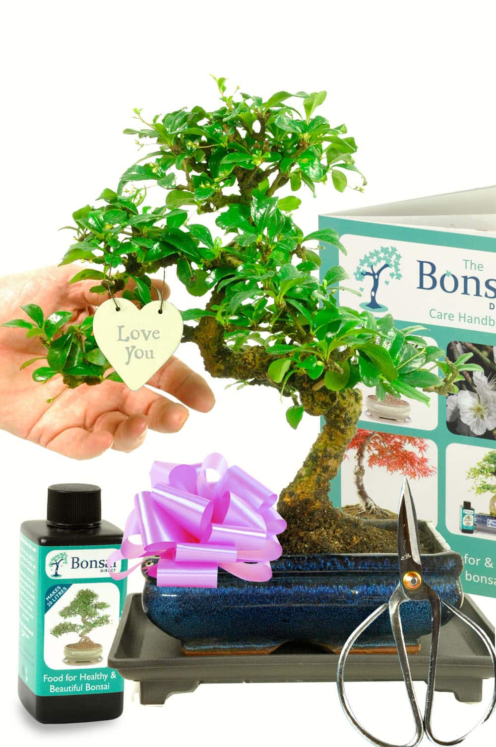 Unique Bonsai Tree Gift For Her For Sale In UK