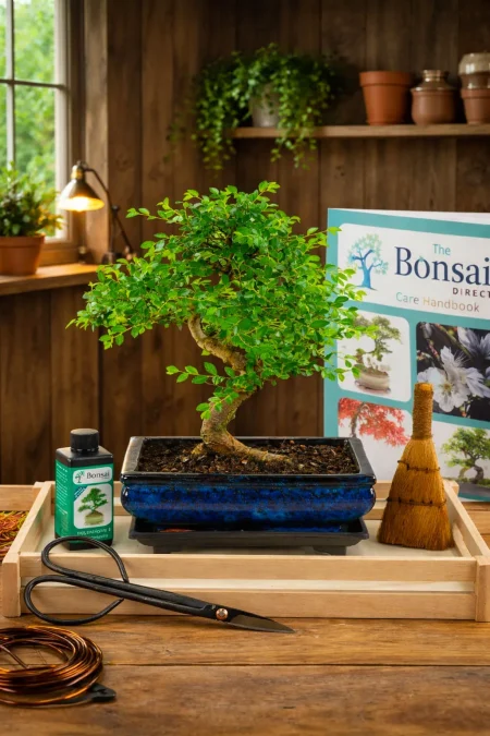 Best Bonsai Kit | Awesome Indoor Tree Pruning & Styling Kit - Incredible Bonsai Bundle