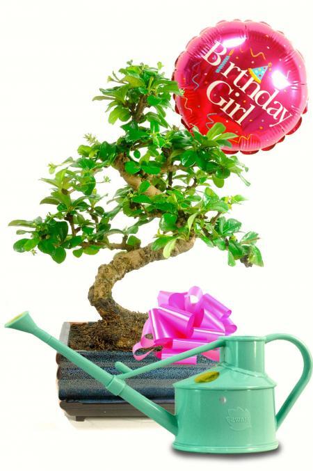 Pretty Birthday Gift Set - with Watering Can