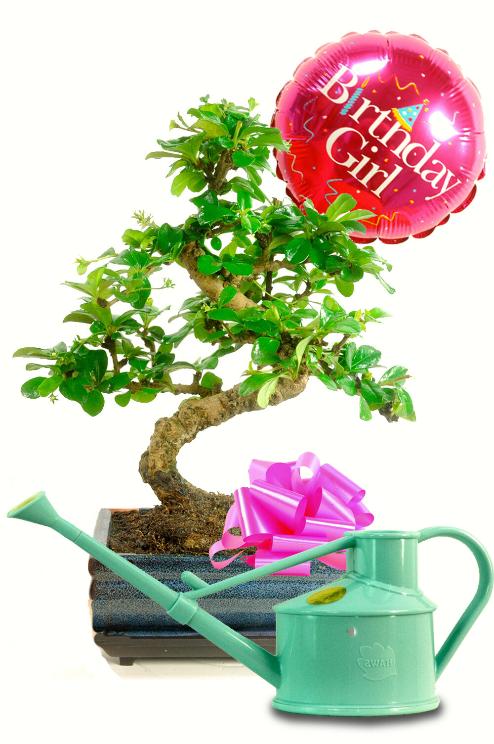 Pretty Birthday Gift Set - with Watering Can