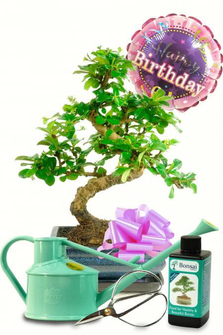 Beautiful Happy Birthday Gift Set - For Her with Watering Can