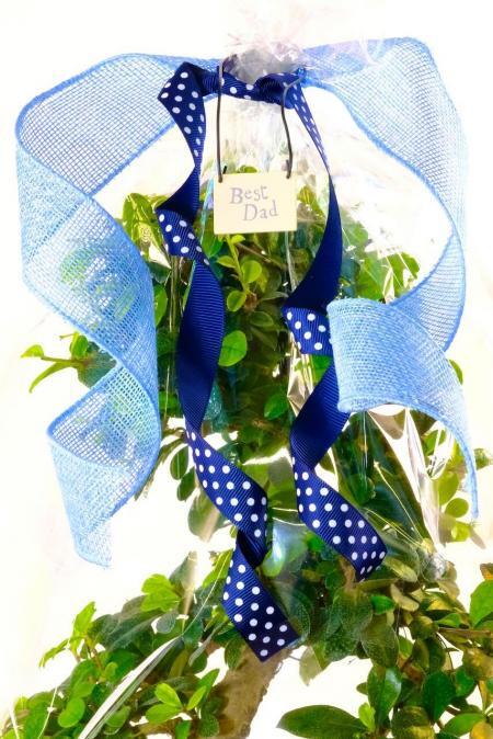 Gift Wrap - Best Dad