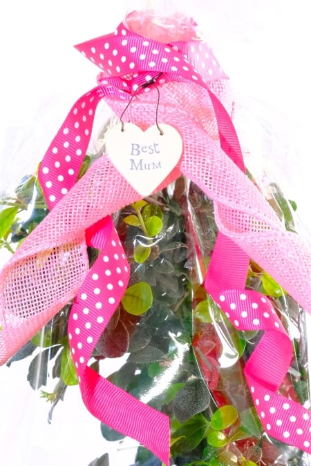 Gift Wrap - Best Mum