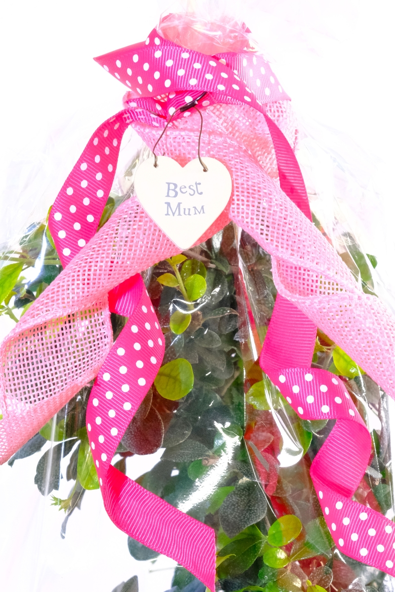 Gift Wrap - Best Mum