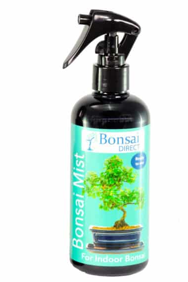 Bonsai Mist - For Healthy Bonsai Trees