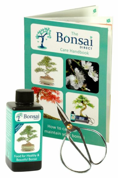 Beginners bonsia care kit