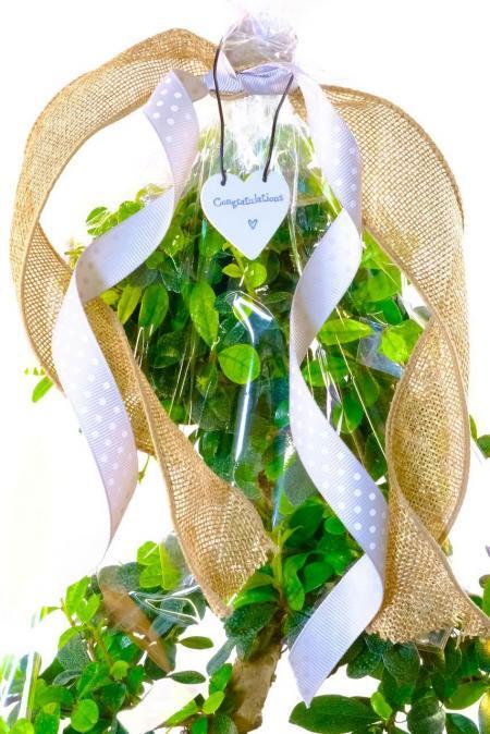 Gift Wrap - Congratulations
